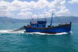 Đang tìm kiếm ngư dân rơi từ tàu đánh bắt xa bờ xuống biển