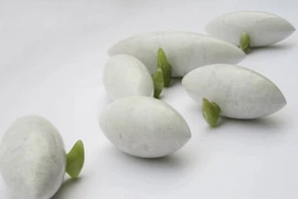 Quay lưng với các nghệ sĩ "chiêu trò"