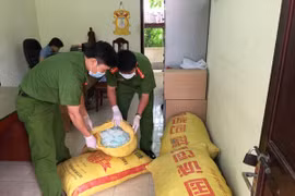 Thu giữ 1.300.000 ống thuốc kích thích tăng trưởng giá đỗ