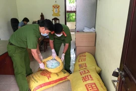 Thu giữ 1.300.000 ống thuốc kích thích tăng trưởng giá đỗ