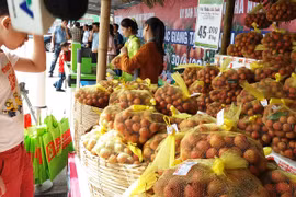 Người Hà Nội được ăn vải thiều "tiêu chuẩn Mỹ"