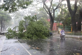 Bão số 3 làm 6 người chết và mất tích, 4 người bị thương