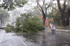 Bão số 3 làm 6 người chết và mất tích, 4 người bị thương