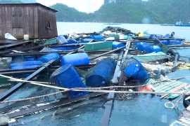 Công bố dự thảo Thông tư cơ cấu nợ cho khách hàng bị ảnh hưởng bởi bão số 3