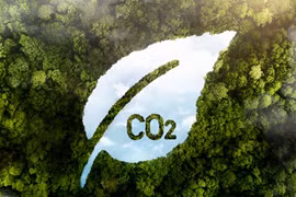 Bổ sung 4 khoản thu nhập được miễn thuế thu nhập doanh nghiệp