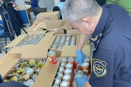 Hải quan bắt giữ gần 2 tấn ma túy trong nửa đầu năm