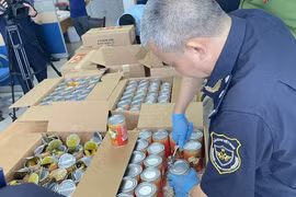 Hải quan bắt giữ gần 2 tấn ma túy trong nửa đầu năm