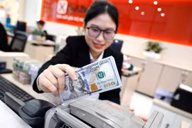 VND có thể tiếp tục suy yếu cho đến quý 4/2025