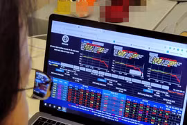 HOSE đình chỉ giao dịch 3 cổ phiếu từ ngày 16/9