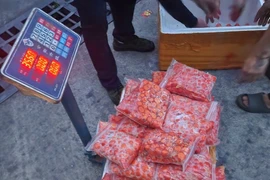 Bắt giữ hơn 8 tấn trứng gà non đông lạnh nhập lậu