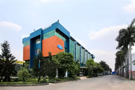 Gỗ Trường Thành bị nhắc nhở do chậm công bố thông tin về việc bị phong tỏa tài khoản