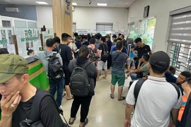 Chật vật giao nhận hàng tại các cảng vì hệ thống Hải quan điện tử gặp sự cố