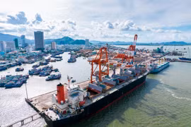 Cảng Quy Nhơn giải trình ra sao khi cổ phiếu tím trần 10 phiên liên tiếp?