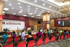 Từ năm 2023 đến nay chưa cổ phần hóa được doanh nghiệp Nhà nước nào