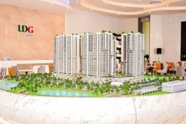 Tòa hủy quyết định mở thủ tục phá sản, cổ phiếu LDG tăng kịch trần