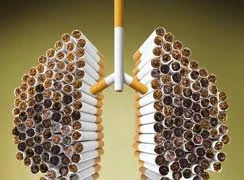 Năm 2050: 40 triệu người hút thuốc lá sẽ chết vì lao phổi