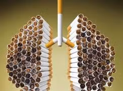 Năm 2050: 40 triệu người hút thuốc lá sẽ chết vì lao phổi