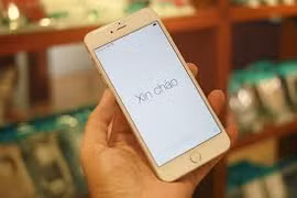 Cô gái lấy lại được tài sản nhờ tội phạm tự… "lòi đuôi" 