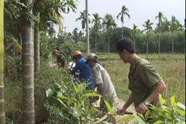 "Có người thả rắn lục đuôi đỏ" chỉ là tin đồn thêu dệt