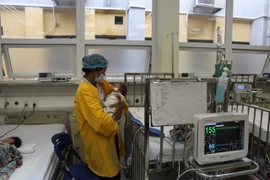 BV Nhi Trung ương: Bệnh nhân đông nhưng không còn nằm ghép