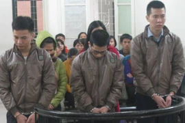 Đua nhau mở "đại lý" giấy khám sức khỏe giả trên mạng Internet