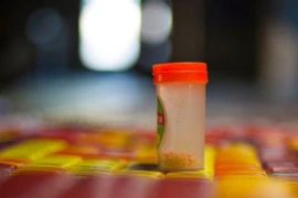 Châu Á trước “bão” heroin nhiều màu sắc 