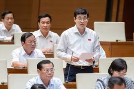 ĐBQH đề nghị cân nhắc quy định hưởng chế độ thai sản với lao động nữ hiếm muộn