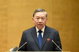 Đừng để tuyên bố tinh gọn bộ máy mà sinh thêm tầng nấc xin - cho ngoài thực tế