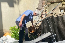 Hà Nội đối diện nguy cơ bùng phát dịch sốt xuất huyết từ tháng 7 đến tháng 11-2023