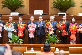 Phê chuẩn 4 Phó Chủ tịch Hội đồng Bầu cử quốc gia và 14 Ủy viên