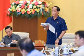 Phó Chủ tịch Quốc hội: Sắp xếp các đơn vị sự nghiệp công lập nhiều lúc còn cơ học