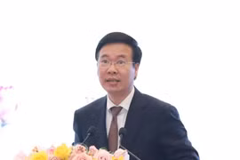 Bộ Chính trị yêu cầu giảm ít nhất 5% biên chế công chức và 10% viên chức đến năm 2026