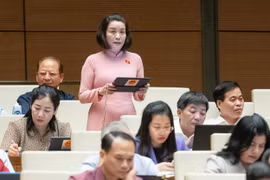 ĐBQH lo ngại “lỗ hổng” trong việc tuân thủ các quy định về phòng cháy chữa cháy 