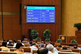 Tỷ lệ nữ ứng cử đại biểu Quốc hội, đại biểu HĐND ít nhất là 35%