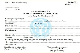 Làm giả giấy chứng nhận nghỉ việc hưởng bảo hiểm xã hội, một công nhân bị xử lý hình sự