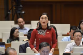 ĐBQH Nguyễn Thị Xuân: Tách Luật giao thông đường bộ là vì lợi ích chung chứ không phải “quyền anh, quyền tôi”