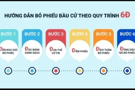 Video hướng dẫn bỏ phiếu bầu cử theo quy trình 6D