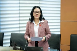 ĐBQH: Nhiều người livestream bán hàng thu về hàng tỷ đồng nhưng nhà nước không thu được thuế