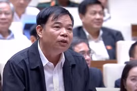 ĐBQH tranh luận với Bộ trưởng Nông nghiệp về bảo vệ rừng, phòng thiên tai