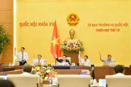 Thông qua Nghị quyết chuyển hàng nghìn ha đất rừng và đất lúa làm cao tốc Bắc - Nam phía đông