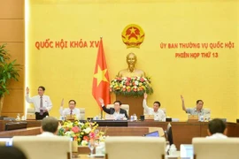 Thông qua Nghị quyết chuyển hàng nghìn ha đất rừng và đất lúa làm cao tốc Bắc - Nam phía đông