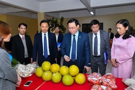 Huyện Phúc Thọ kiến nghị 14 vấn đề, Bí thư Thành ủy Vương Đình Huệ chỉ đạo ngay