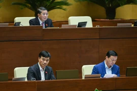 ĐBQH: Phân lô, bán nền là cách làm lạc hậu, cần chấm dứt "kỷ nguyên" nhà ống bất hợp lý