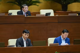 ĐBQH: Phân lô, bán nền là cách làm lạc hậu, cần chấm dứt "kỷ nguyên" nhà ống bất hợp lý