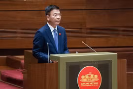 Người trúng đấu giá nhưng bỏ cọc không mua có thể bị phạt tiền bằng 50% mức giá đã trả 