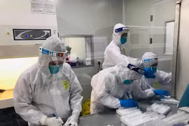 TP HCM ghi nhận 215 ca Covid-19 chỉ sau một đêm, Hưng Yên thêm 10 ca mới