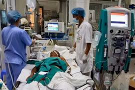 Hà Nội: Hai người giết mổ và bán thịt lợn nhập viện vì liên cầu khuẩn, một người tử vong