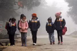 Thủ tướng: Rét đậm, rét hại kéo dài, các địa phương phải đảm bảo an toàn sức khỏe cho người dân