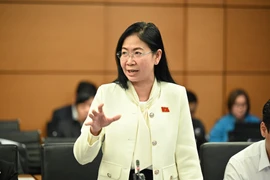 ĐBQH đề xuất mô hình “tập đoàn báo chí” hoặc “tổ hợp báo chí" tại Hà Nội và TP HCM