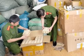 Phó Thủ tướng yêu cầu Bộ Y tế rà soát, báo cáo về vấn đề thuốc giả trước ngày 5-5